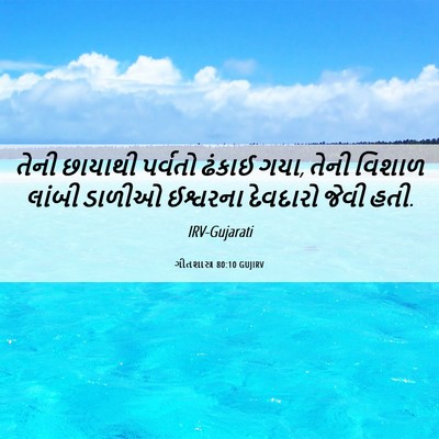Picture 06 - ગીતશાસ્ત્ર 80:10 GUJIRV - તેની છાયાથી - Bible Verse Picture