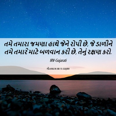 Picture 06 - ગીતશાસ્ત્ર 80:15 GUJIRV - તમે તમારા જમણા - Bible Verse Picture