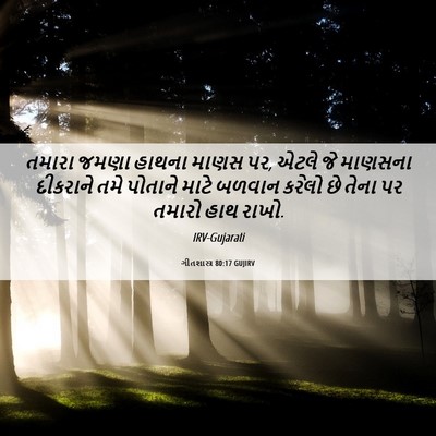 Picture 06 - ગીતશાસ્ત્ર 80:17 GUJIRV - તમારા જમણા હાથના - Bible Verse Picture
