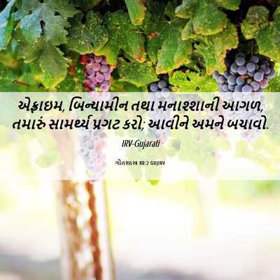 Picture 06 - ગીતશાસ્ત્ર 80:2 GUJIRV - એફ્રાઇમ, - Bible Verse Picture
