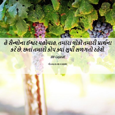 Picture 06 - ગીતશાસ્ત્ર 80:4 GUJIRV - હે સૈન્યોના ઈશ્વર - Bible Verse Picture