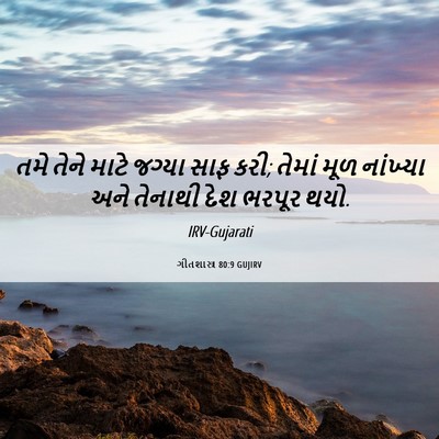 Picture 06 - ગીતશાસ્ત્ર 80:9 GUJIRV - તમે તેને માટે - Bible Verse Picture