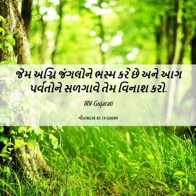 Picture 06 - ગીતશાસ્ત્ર 83:14 GUJIRV - જેમ અગ્નિ જંગલોને - Bible Verse Picture