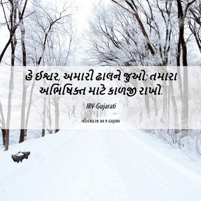 Picture 06 - ગીતશાસ્ત્ર 84:9 GUJIRV - હે ઈશ્વર, અમારી - Bible Verse Picture