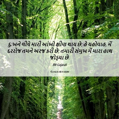 Picture 06 - ગીતશાસ્ત્ર 88:9 GUJIRV - દુ:ખને લીધે મારી - Bible Verse Picture
