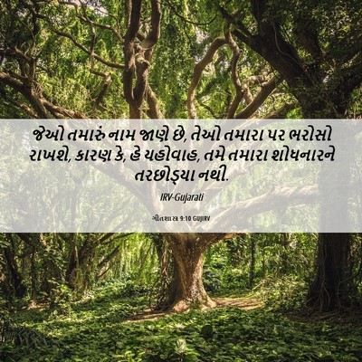Picture 06 - ગીતશાસ્ત્ર 9:10 GUJIRV - જેઓ તમારું નામ - Bible Verse Picture