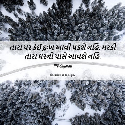 Picture 06 - ગીતશાસ્ત્ર 91:10 GUJIRV - તારા પર કંઈ દુઃખ - Bible Verse Picture