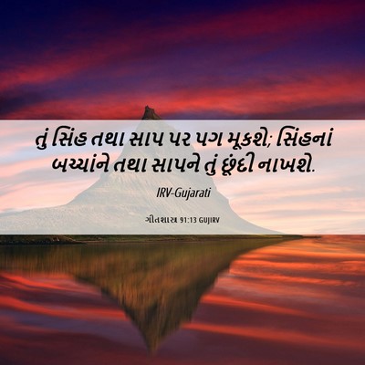 Picture 06 - ગીતશાસ્ત્ર 91:13 GUJIRV - તું સિંહ તથા સાપ પર - Bible Verse Picture