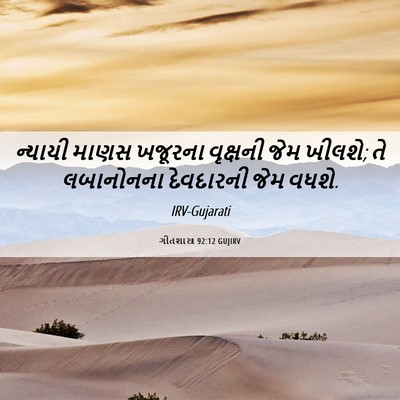 Picture 06 - ગીતશાસ્ત્ર 92:12 GUJIRV - ન્યાયી માણસ - Bible Verse Picture