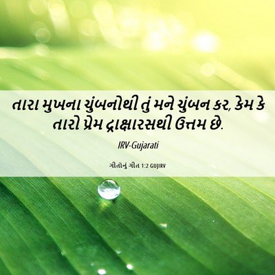 Picture 06 - ગીતોનું ગીત 1:2 GUJIRV - તારા મુખના - Bible Verse Picture