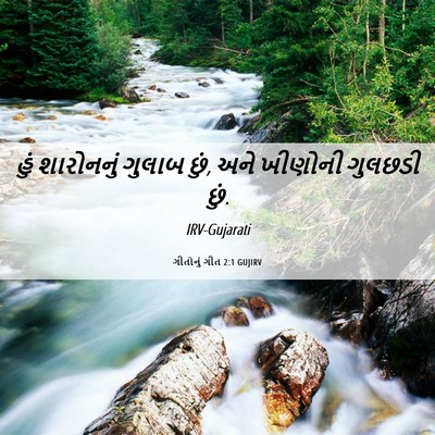Picture 06 - ગીતોનું ગીત 2:1 GUJIRV - હું શારોનનું - Bible Verse Picture