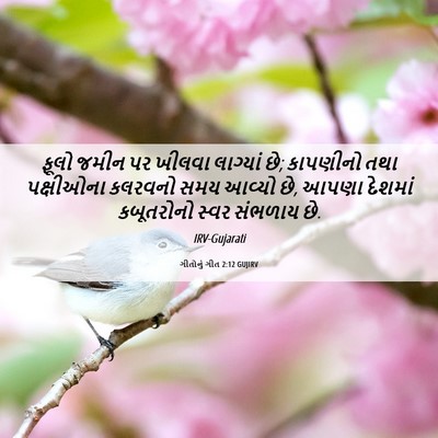 Picture 06 - ગીતોનું ગીત 2:12 GUJIRV - ફૂલો જમીન પર ખીલવા - Bible Verse Picture