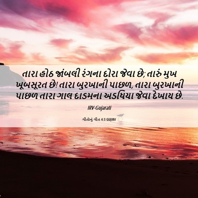 Picture 06 - ગીતોનું ગીત 4:3 GUJIRV - તારા હોઠ જાંબલી - Bible Verse Picture