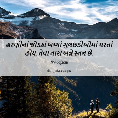 Picture 06 - ગીતોનું ગીત 4:5 GUJIRV - હરણીનાં જોડકાં - Bible Verse Picture