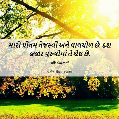 Picture 06 - ગીતોનું ગીત 5:10 GUJIRV - મારો પ્રીતમ - Bible Verse Picture