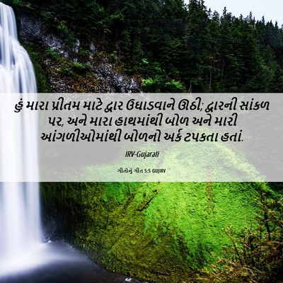 Picture 06 - ગીતોનું ગીત 5:5 GUJIRV - હું મારા પ્રીતમ - Bible Verse Picture