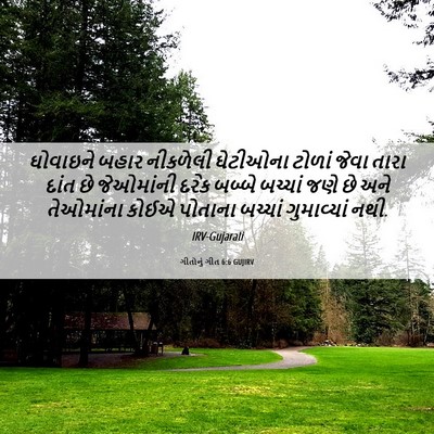 Picture 06 - ગીતોનું ગીત 6:6 GUJIRV - ઘોવાઇને બહાર - Bible Verse Picture