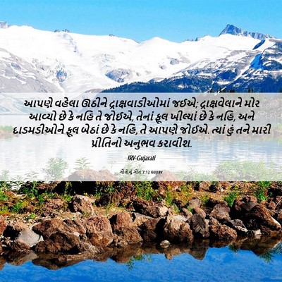 Picture 06 - ગીતોનું ગીત 7:12 GUJIRV - આપણે વહેલા ઊઠીને - Bible Verse Picture