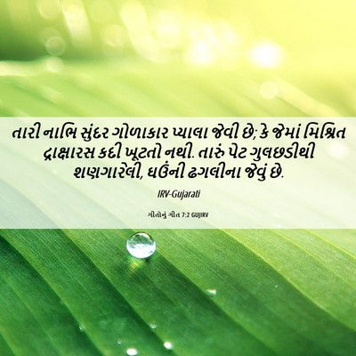Picture 06 - ગીતોનું ગીત 7:2 GUJIRV - તારી નાભિ સુંદર - Bible Verse Picture