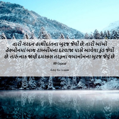 Picture 06 - ગીતોનું ગીત 7:4 GUJIRV - તારી ગરદન - Bible Verse Picture