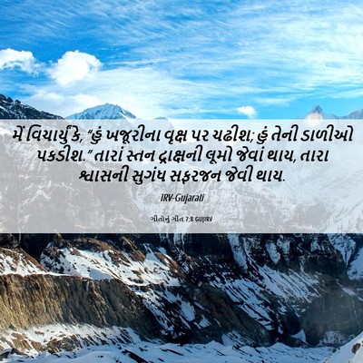 Picture 06 - ગીતોનું ગીત 7:8 GUJIRV - મેં વિચાર્યું કે, - Bible Verse Picture