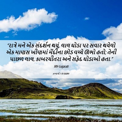 Picture 06 - ઝખાર્યા 1:8 GUJIRV - “રાત્રે મને એક - Bible Verse Picture