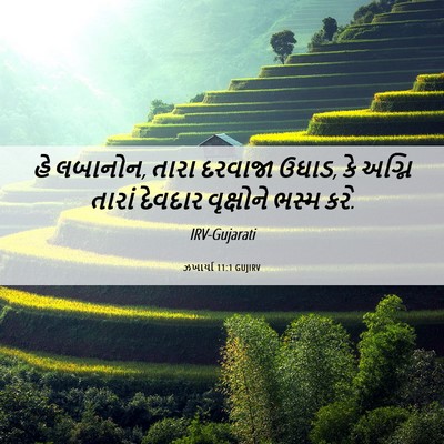 Picture 06 - ઝખાર્યા 11:1 GUJIRV - હે લબાનોન, તારા - Bible Verse Picture