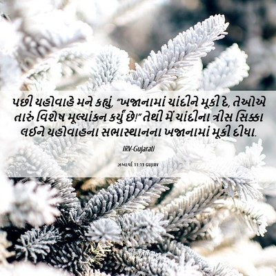 Picture 06 - ઝખાર્યા 11:13 GUJIRV - પછી યહોવાહે મને - Bible Verse Picture