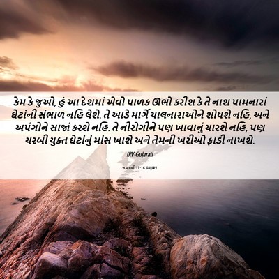 Picture 06 - ઝખાર્યા 11:16 GUJIRV - કેમ કે જુઓ, હું આ - Bible Verse Picture