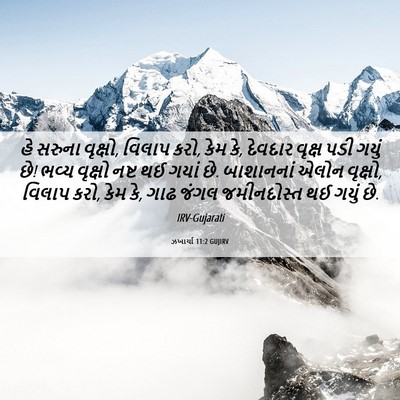 Picture 06 - ઝખાર્યા 11:2 GUJIRV - હે સરુના વૃક્ષો, - Bible Verse Picture