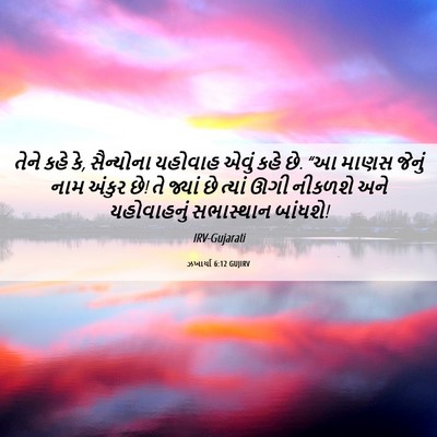 Picture 06 - ઝખાર્યા 6:12 GUJIRV - તેને કહે કે, - Bible Verse Picture