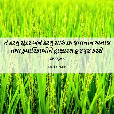 Picture 06 - ઝખાર્યા 9:17 GUJIRV - તે કેટલું સુંદર - Bible Verse Picture