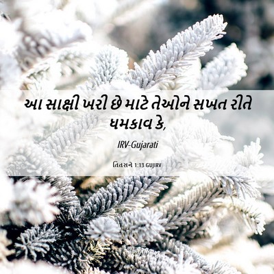 Picture 06 - તિતસને 1:13 GUJIRV - આ સાક્ષી ખરી છે - Bible Verse Picture