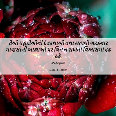 Picture 06 - તિતસને 1:14 GUJIRV - તેઓ યહૂદીઓની - Bible Verse Picture