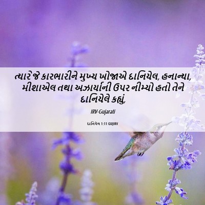 Picture 06 - દાનિયેલ 1:11 GUJIRV - ત્યારે જે - Bible Verse Picture