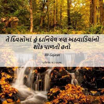 Picture 06 - દાનિયેલ 10:2 GUJIRV - તે દિવસોમાં, હું - Bible Verse Picture