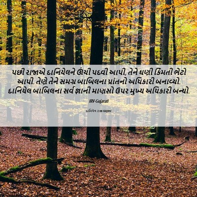 Picture 06 - દાનિયેલ 2:48 GUJIRV - પછી રાજાએ - Bible Verse Picture