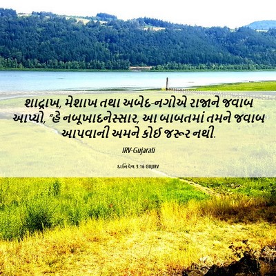 Picture 06 - દાનિયેલ 3:16 GUJIRV - શાદ્રાખ, મેશાખ તથા - Bible Verse Picture