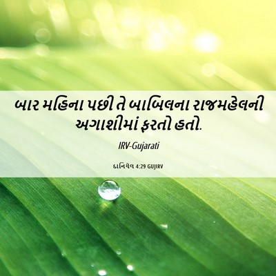 Picture 06 - દાનિયેલ 4:29 GUJIRV - બાર મહિના પછી તે - Bible Verse Picture
