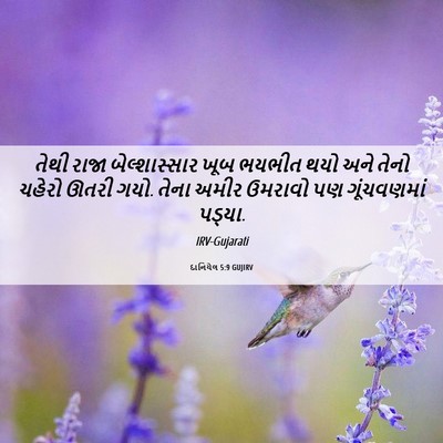 Picture 06 - દાનિયેલ 5:9 GUJIRV - તેથી રાજા - Bible Verse Picture
