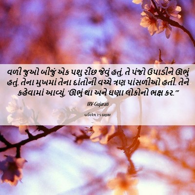 Picture 06 - દાનિયેલ 7:5 GUJIRV - વળી જુઓ બીજું એક - Bible Verse Picture