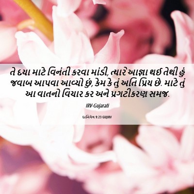 Picture 06 - દાનિયેલ 9:23 GUJIRV - તે દયા માટે વિનંતી - Bible Verse Picture