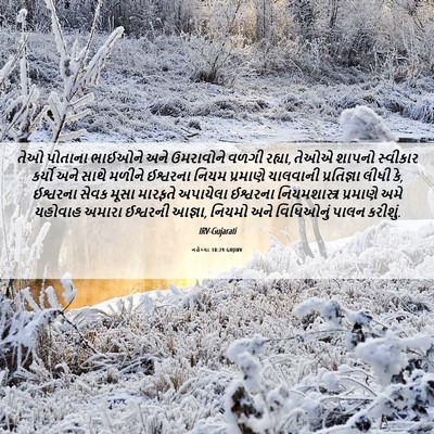 Picture 06 - નહેમ્યા 10:29 GUJIRV - તેઓ પોતાના ભાઈઓને - Bible Verse Picture