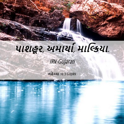 Picture 06 - નહેમ્યા 10:3 GUJIRV - પાશહૂર, અમાર્યા, - Bible Verse Picture