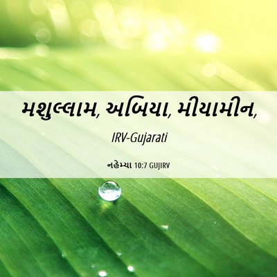 Picture 06 - નહેમ્યા 10:7 GUJIRV - મશુલ્લામ, અબિયા, - Bible Verse Picture