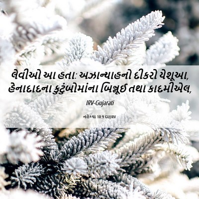 Picture 06 - નહેમ્યા 10:9 GUJIRV - લેવીઓ આ હતા: - Bible Verse Picture