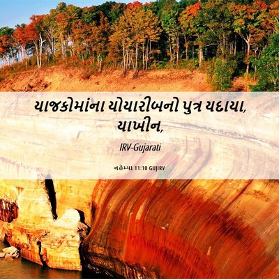 Picture 06 - નહેમ્યા 11:10 GUJIRV - યાજકોમાંના - Bible Verse Picture