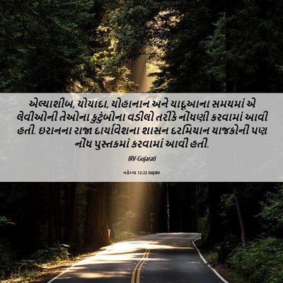 Picture 06 - નહેમ્યા 12:22 GUJIRV - એલ્યાશીબ, યોયાદા, - Bible Verse Picture