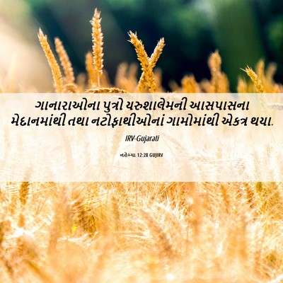 Picture 06 - નહેમ્યા 12:28 GUJIRV - ગાનારાઓના પુત્રો - Bible Verse Picture