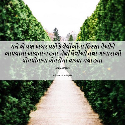 Picture 06 - નહેમ્યા 13:10 GUJIRV - મને એ પણ ખબર પડી કે - Bible Verse Picture